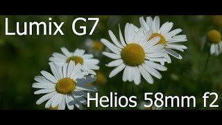 Helios 44M4 58mm f2 with Panasonic G7 IN 4K [upl. by Jasmin267]