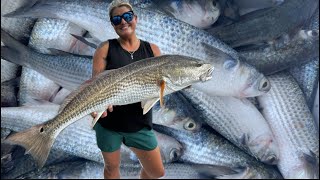 Fried Mullet amp Fishing for HUGE REDFISH  Catch Clean Cook [upl. by Michael]