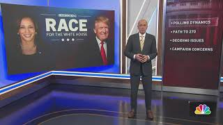 Decision 2024 Race for the White House  NBC New York [upl. by Lorin815]