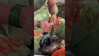 Bombil fish cutting minivlog fish fishcutting aagarikoli fishing fishingvideo fishfry [upl. by Benjy]