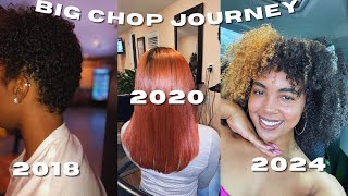 “omg how did your hair grow back so fast”  my natural hair journey [upl. by Llenahs8]