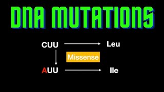 USMLE Step 1  Lesson 9  Mutations in the DNA [upl. by Naened]