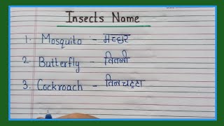 10 Insects Name in English and Hindiकीड़े मकोड़े के नामInsects NameKeede Makode Ke Naam [upl. by Piotr178]