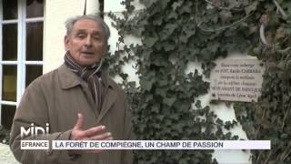 SUIVEZ LE GUIDE  La forêt de Compiègne un champ de passion [upl. by Grethel]