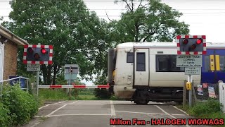 HALOGEN WIGWAGS Milton Fen Level Crossing Cambridgeshire 250524 [upl. by Aicilet]