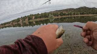 Fishing for crappie and bass Prineville reservoir [upl. by Primaveria241]