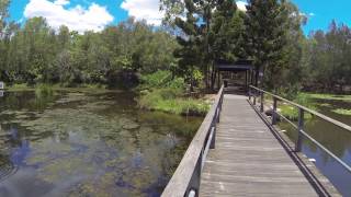 Edenbrooke Bikeway Reserve Seventeen Mile Rocks QLD  dogexplorercomau [upl. by Jehanna370]