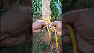 Easy bowline knotknot skill [upl. by Garibold]