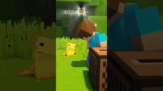 Axolotl Dance vesthundi roiii😂👯🕺😍 minecraft minecraftanimation axolotl minecraftsteve viral [upl. by Eidac68]