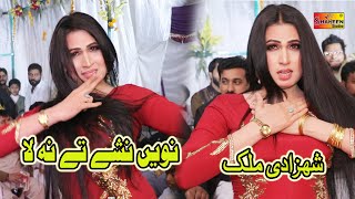 Naway Nashy Tay Na La  Shehzadi Malik  New Saraiki Dance 2021  Shaheen Studio [upl. by Abisha]