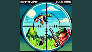 DUCK HUNT [upl. by Dasa300]