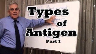 Types of Antigen  Part 1 [upl. by Arahs408]