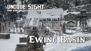 Ewing Basin  Unique Sight RDRII [upl. by Auginahs531]