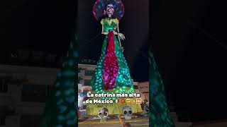 diademuertos 2024 vallarta mexico ✨🇲🇽🌅🦴 [upl. by Egidio]