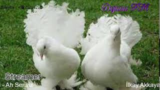 Dejavu🕊 FM • Canlı İstek Yayını  Online Radyo Dinle [upl. by Derfliw116]