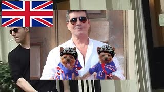 Simon Cowell gets Squiddly and Diddly seagull protection [upl. by Essilrahc]