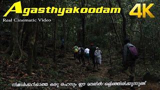 Agasthyarkoodam Trekking 4K [upl. by Phemia625]