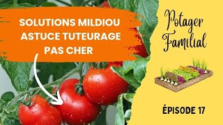 17🌾 Mildiou et Tuteurage des tomates  Le potager sous la pluie tout le mois de mai dans le nord [upl. by Aisanahta]