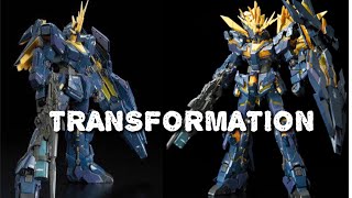 Transformation RG Unicorn Banshee Norn [upl. by Kissel]