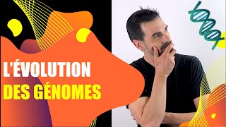 COURS DE TERMINALE SPÉCIALITÉ SVT  CHAP4 LÉVOLUTION DES GÉNOMES Bio Logique [upl. by Enohs]