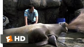 Vomiting Walrus  50 First Dates 38 Movie CLIP 2004 HD [upl. by Cleodell518]