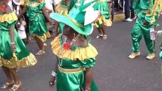 Comité Bibas Martinique Carnaval 2014 Lundi Gras au Lamentin Video [upl. by Narruc]