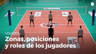 Las zonas las posiciones y los roles de los jugadores  Voleibol [upl. by Grunenwald488]