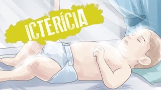 ICTERÍCIA NEONATAL [upl. by Ainitsirhc]