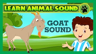 Animal Sound for Children  Goat Sound Camel Sound Pig Sound  Kids Hut [upl. by Gnilrets908]