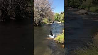 Playing catch in the Kern [upl. by Jac256]