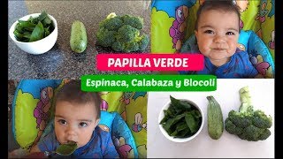 PAPILLA DE ESPINACA CALABAZA Y BROCOLI para bebes  Facil y Saludable [upl. by Linnet]