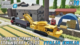 Straw An Essential Farming Asset Planting Sunflowers  Italian Farm  Farming simulator 22  78 [upl. by Quiteri981]