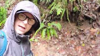 Lime Kiln Trail Rainy Day Hike [upl. by Michael959]