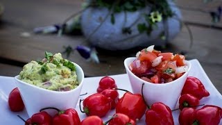 Guacamole amp Pico de Gallo Deutsches Dip amp Salsa Rezept [upl. by Diamond]