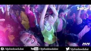 PARTY ALL NIGHT DJ SHADOW DUBAI REMIX [upl. by Elijah]