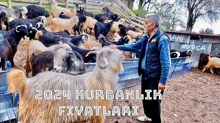 2024 Kurbanlık Fiyatları Ve İnce Ayrıntıları [upl. by Suvart]