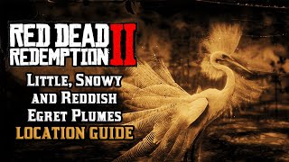 Little Snowy and Reddish Egret Plumes  Location Guide  Red Dead Redemption 2 [upl. by Oster]