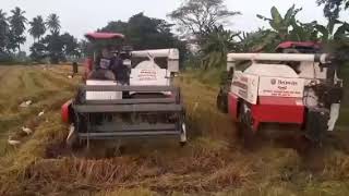 Yanmar Gv82 vs Yanmar Gv85 [upl. by Eceerahs294]