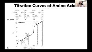 Titration Curve of Glutamate [upl. by Manthei900]