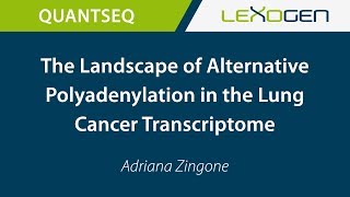 USER TALK The Landscape of Alternative Polyadenylation in the Lung Cancer Transcriptome [upl. by Ateekahs]