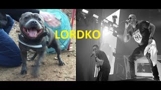 Mon chien est trop gentil feat Lord Kossity [upl. by Olaznog]