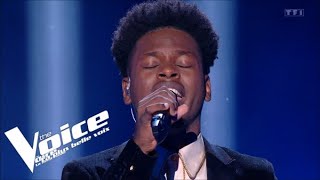 JeanJacques Goldman  Puisque tu pars  Micha  The Voice 2023  Blind Audition [upl. by Sibie]