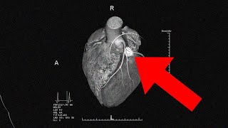 Gods Revelation to the Human Heart [upl. by Ramhaj]