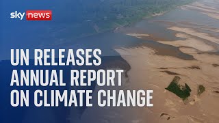 UN releases annual report on climate change [upl. by Ibor]