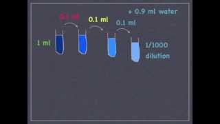 The quantitative plaque assay [upl. by Pentha]