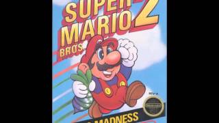 Super Mario Bros 2  Soundtrack  Birdo [upl. by Notnil]