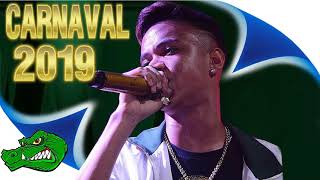 HIAGO DANADINHO  AO VIVO CARNAVAL 2019 JACA CDS [upl. by Jdavie459]