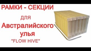 Современное Пчеловодсвто Рамки секции для Австралийского улья FLOW HIVE Сергей Кочетков Выставка Х [upl. by Nil]