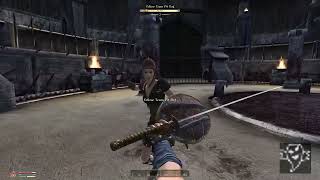 oblivion lethal weapons combat mod [upl. by Asatan821]