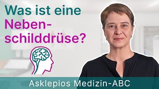 Was ist eine Nebenschilddrüse  Medizin ABC  Asklepios [upl. by Cordie]